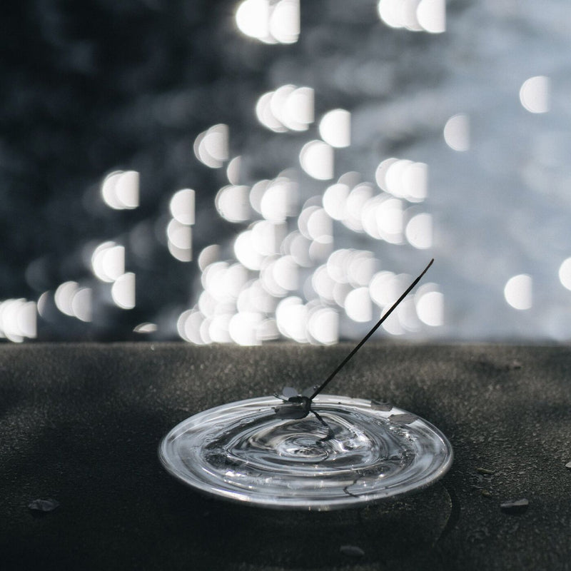 Holding the Moon Incense, Standard
